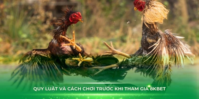 Tìm hiểu quy luật và cách chơi trước khi tham gia 8KBET